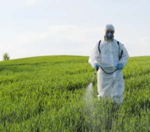 Grain fumigation services in Sharjah