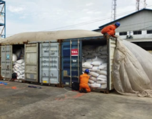 Container Fumigation Services in Sharjah