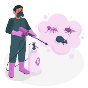 Fumigation services for bed bugs