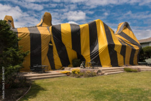 Fumigation services in Sharjah 