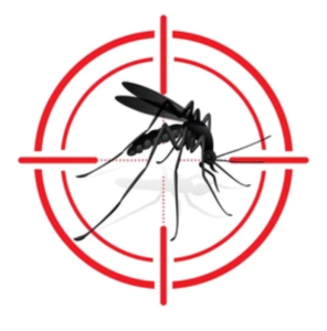 Mosquitoes Fumigation Services in Sharjah