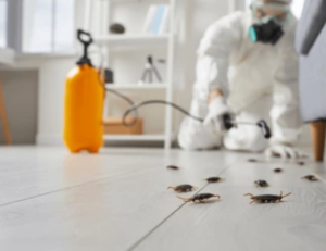 Fumigation Services in Dubai