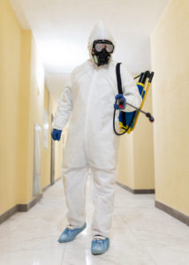 Fumigation services in Sharjah 