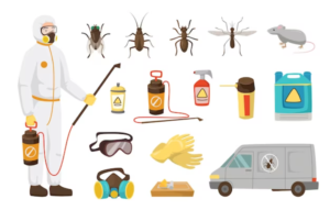 Benefits of Fumigation Services