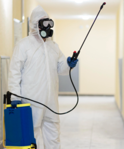 Precautions for Fumigation Services in Sharjah