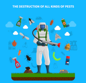 Professional Pest Control Services in Sharjah