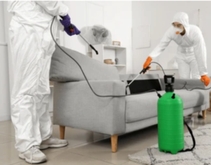 Licensed Fumigation Services in Sharjah 